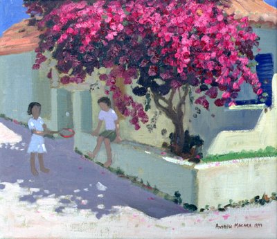 Bougainvillaea, Zante, 1999 by Andrew Macara